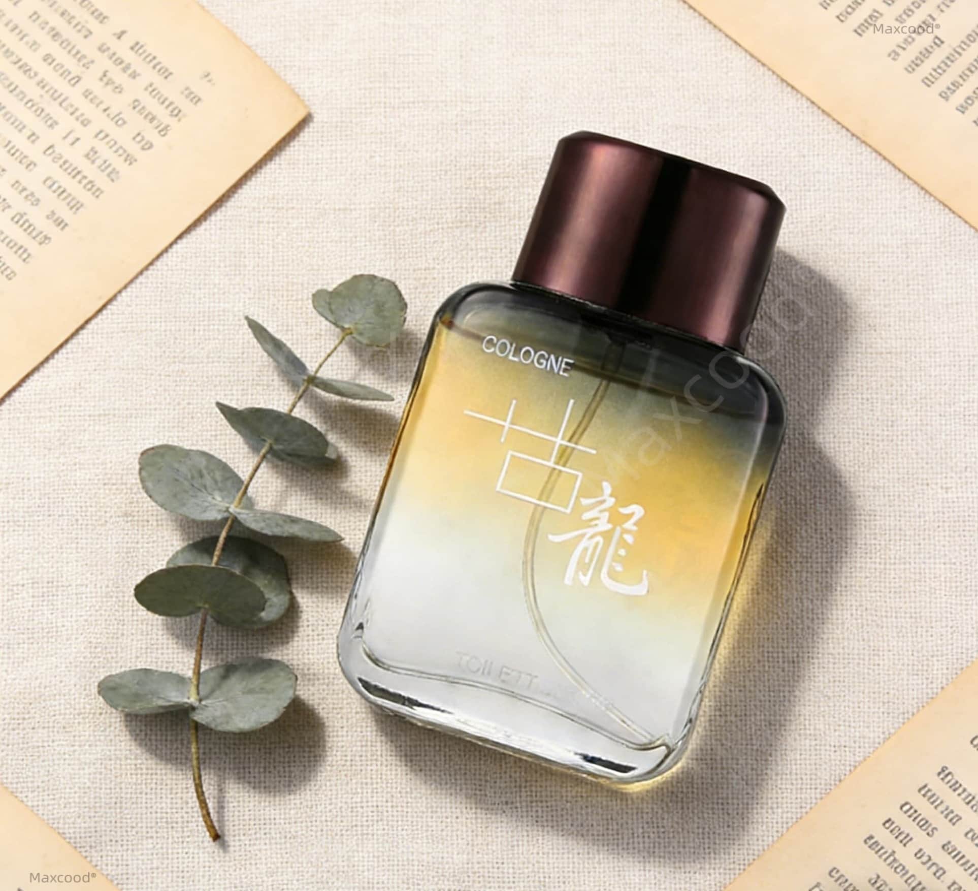 マックスコード A シトラス メンズ コロン パフューム 3 - Fragrance Cologne And Perfume のレビューと価格