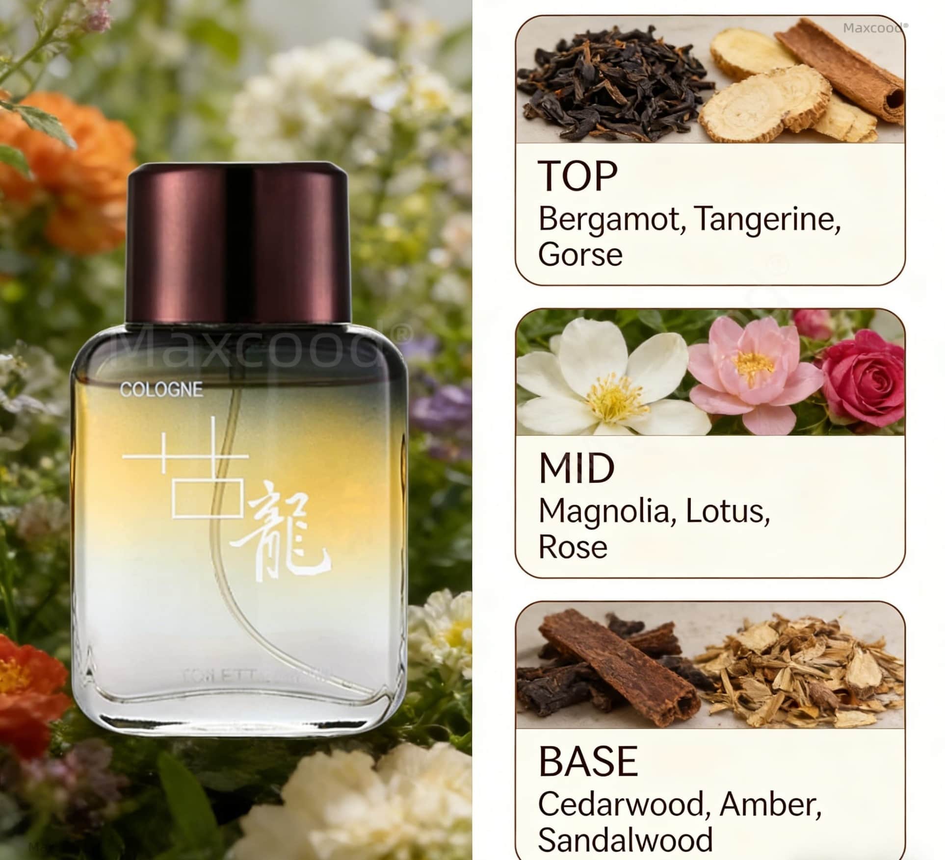 マックスコード A シトラス メンズ コロン パフューム 3 - Fragrance Cologne And Perfume のレビューと価格