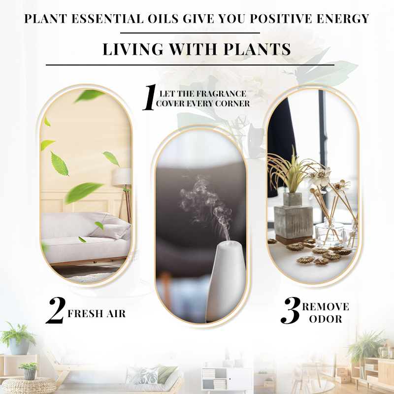 EVOKE ジャスミンの香り 100ml エッセンシャルオイ - Perfume Fragrance Enhancer のレビューと価格